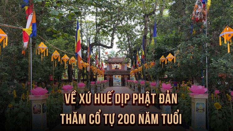 Vẻ đẹp cổ kính của chùa Diệu Đế - cổ tự 200 năm tuổi xứ Huế