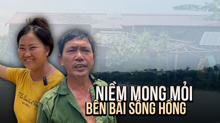 Hy vọng mới trên bãi sông Hồng: Người dân mong mái che tạm để an cư