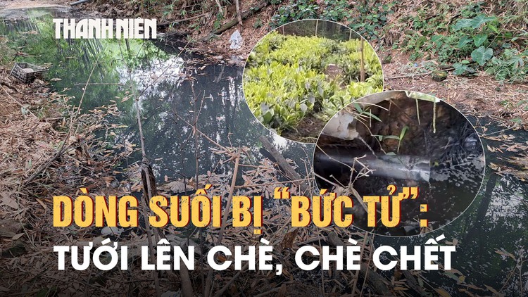 Kinh hoàng dòng suối đen ngòm khiến trăm hộ dân khốn đốn: Xác định 2 nguồn ô nhiễm