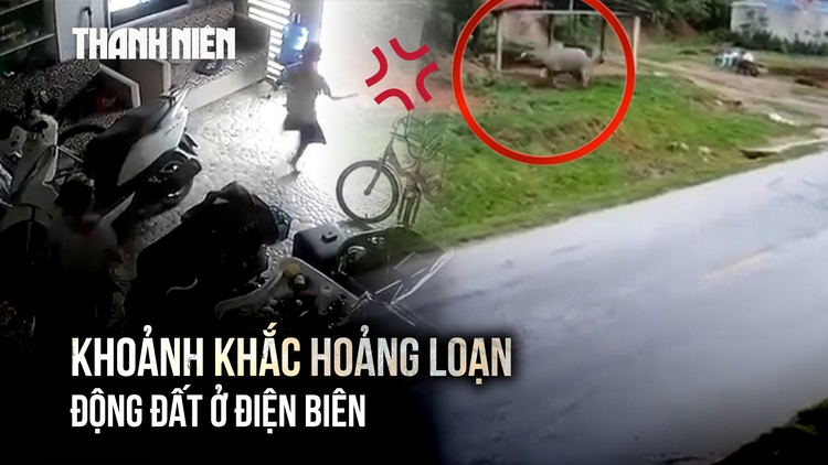 Trâu hoảng loạn bỏ chạy khi động đất cấp độ 2 ở Điện Biên