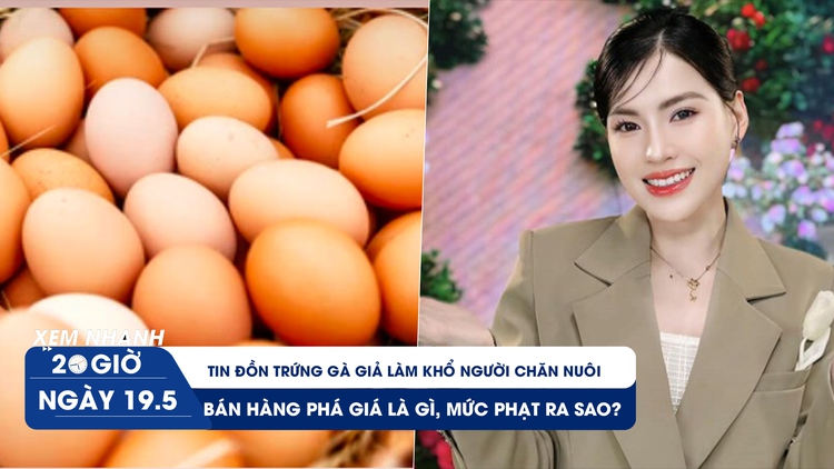 Xem nhanh 20h ngày 19.5: Tin đồn trứng gà giả làm khổ người chăn nuôi | Bán hàng phá giá là gì, mức phạt ra sao?