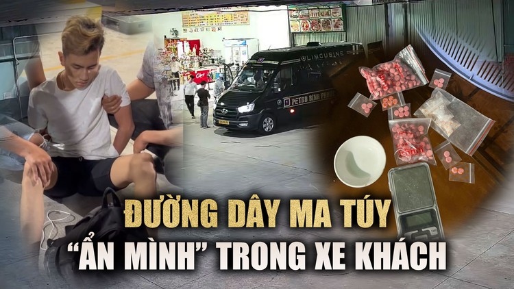 Lộ đường dây ma túy 'ẩn' trong những chuyến xe khách