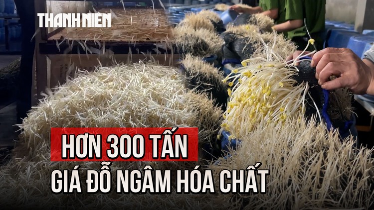 Cận cảnh hàng trăm tấn giá đỗ trắng nõn sau khi ngâm hóa chất