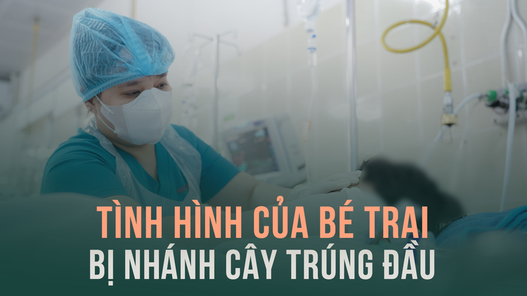 Tình hình hiện tại của bé trai bị nhánh cây gãy rơi trúng đầu