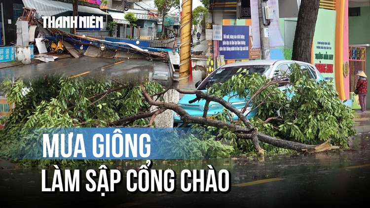 Mưa giông tại Cần Thơ: Cây xanh bật gốc, cổng chào đổ sập