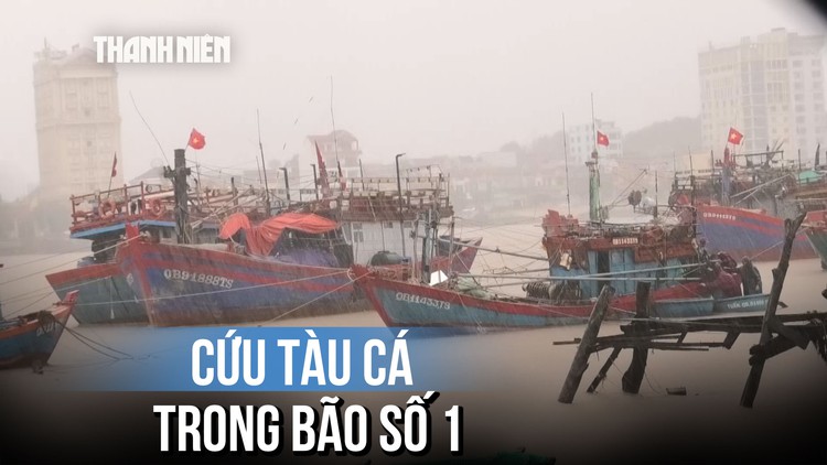 Kịp thời cứu tàu cá sắp bị chìm khi neo đậu trú bão số 1