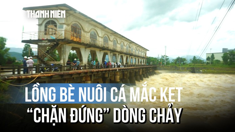 Lũ cuốn lồng cá, bộ đội ngâm mình 'giải cứu' đập Trạch An