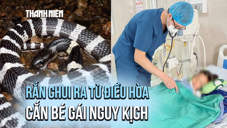 Rắn cạp nia chui ra từ điều hòa, cắn bé gái đang ngủ nguy kịch