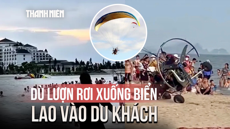 Xử phạt công ty tổ chức dù lượn sau sự cố rơi xuống biển ở Hạ Long