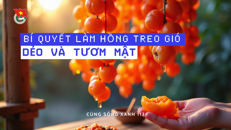 Cùng sống xanh số 113: Bí quyết làm hồng treo gió dẻo và tươm mật