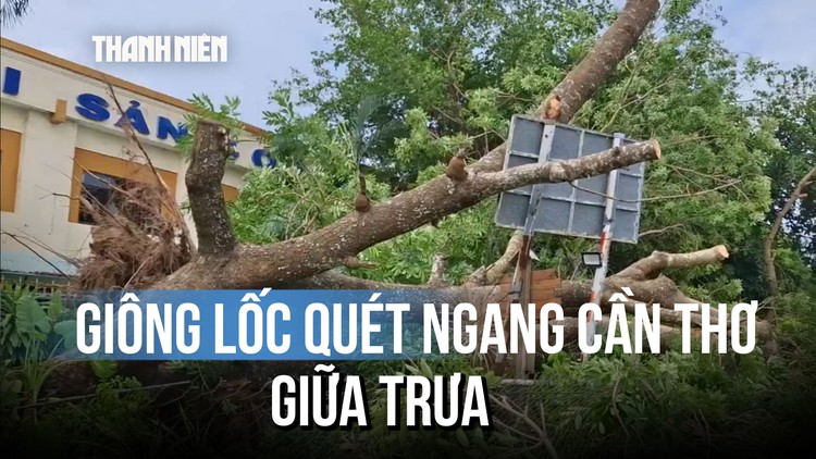 Gạch 'bật tung', cây bật gốc khi giông lốc quét ngang Cần Thơ