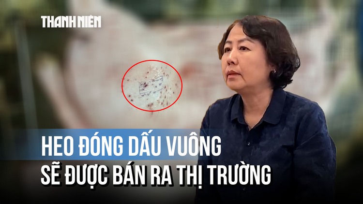 Cục Chăn nuôi - Thú y: Dấu vuông đóng trên thân heo của C.P là sai