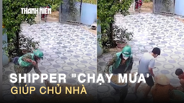 Đi giao hàng gặp trời mưa, shipper gom đậu phộng đang phơi giúp chủ nhà