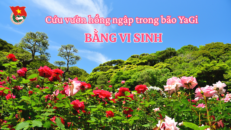 Cùng sống xanh số 112: Dùng giải pháp vi sinh biến vườn hồng ngập sau bão Yagi thành món vang hút khách