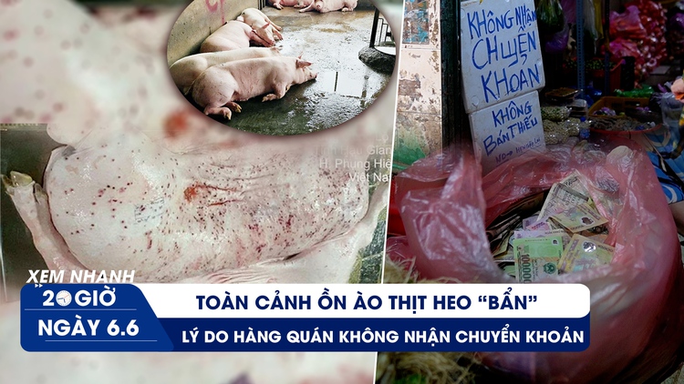 Xem nhanh 20h ngày 6.6: Toàn cảnh ồn ào thịt heo 'bẩn' | Lý do hàng quán không nhận chuyển khoản