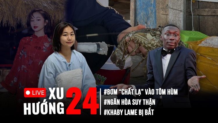 Xu Hướng 24: Loạt bất thường mùa cao điểm chống hàng giả | Cận cảnh bơm tạp chất vào tôm hùm chết
