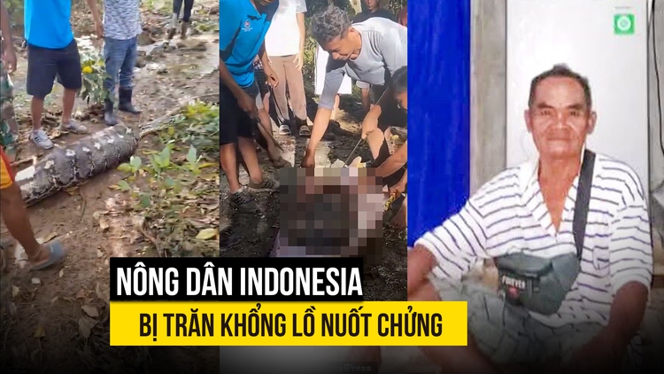 Trăn khổng lồ nuốt chửng nông dân Indonesia