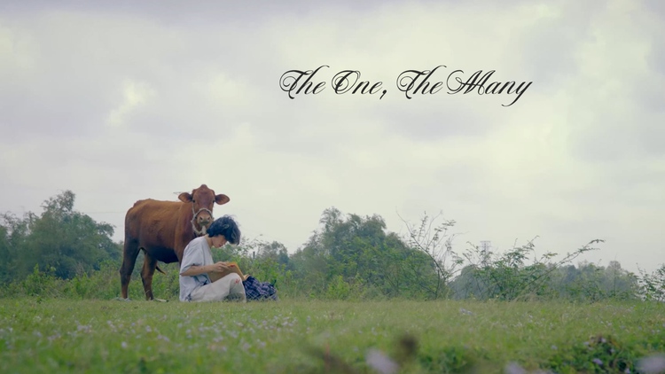 'The One, The Many' | Cuộc thi phim ngắn Vietnamese 2025