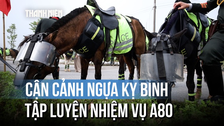 Ngắm kỵ binh cảnh sát cơ động luyện tập trước thềm lễ diễu binh A80