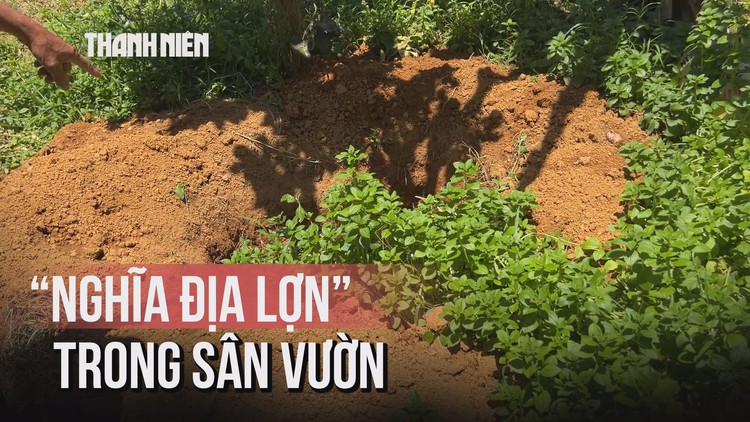 Lợn chết hàng loạt ở Huế, người dân đào sẵn 'nghĩa địa' sau vườn