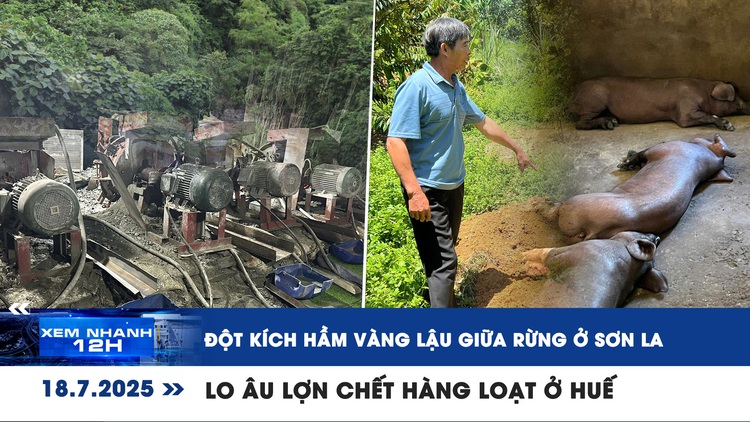 Xem nhanh 12h: Đột kích hầm vàng lậu giữa rừng | Lo âu lợn chết hàng loạt ở Huế