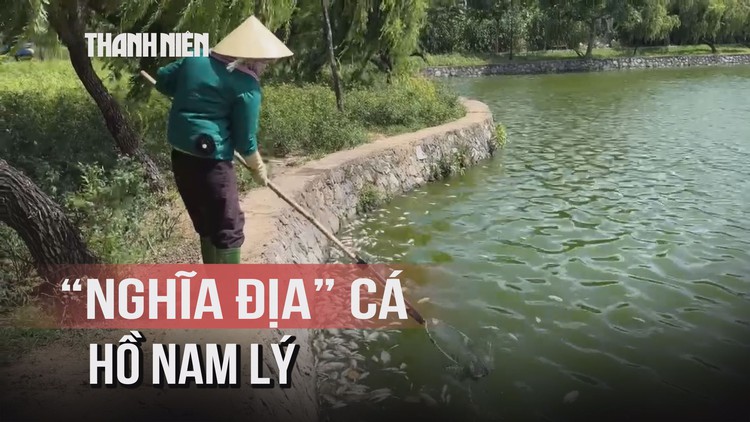 Hơn 100 kg cá chết trắng hồ Nam Lý, mùi hôi bủa vây người dân