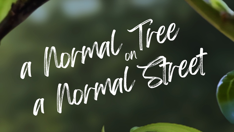'A normal tree on a normal street' | Cuộc thi phim ngắn Vietnamese 2025