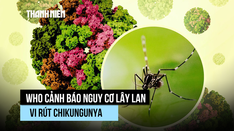 WHO cảnh báo nguy cơ bùng dịch vi rút chikungunya