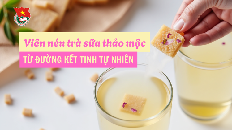 Cùng sống xanh số 117: Tìm cách bán đường phèn cho quê hương Quảng Ngãi, chàng sinh viên ô tô làm viên nén trà sữa nhiều khách mê