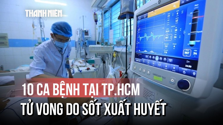 Báo động: 10 ca tử vong do sốt xuất huyết ở TP.HCM
