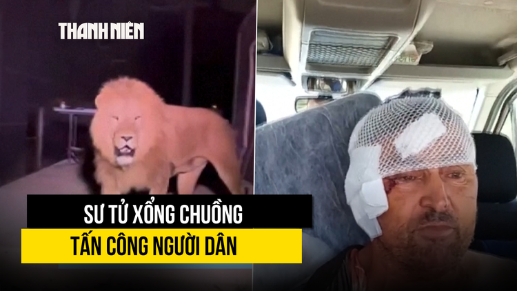 Sư tử sổng chuồng tấn công vợ chồng nông dân Thổ Nhĩ Kỳ