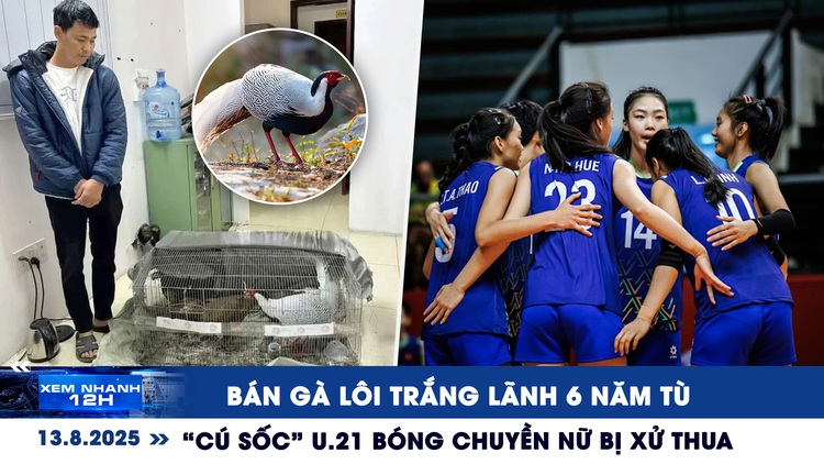 Xem nhanh 12h: Bán gà lôi trắng lãnh 6 năm tù | 'Cú sốc' U.21 bóng chuyền nữ bị xử thua