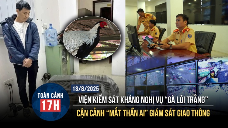 Toàn cảnh 17h: Bị cáo vụ 'gà lôi trắng' được tại ngoại | Cận cảnh 'mắt thần AI' tại TP.HCM