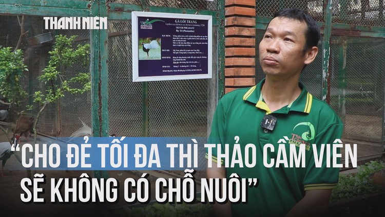 Tìm hiểu về gà lôi trắng: Quý, nhưng có thật sự hiếm?