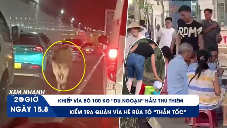 Xem nhanh 20h ngày 15.8: Khiếp vía bò ‘du ngoạn’ hầm Thủ Thiêm | Kiểm tra quán vỉa hè rửa tô ‘thần tốc’