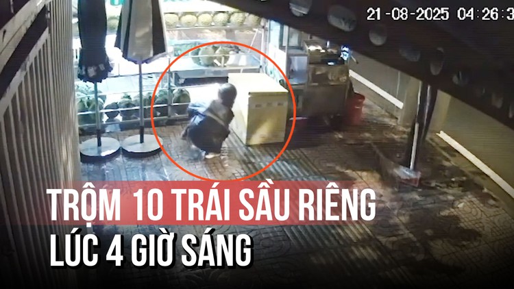 Cặp đôi ‘tiếp ứng’ nhau trộm 10 trái sầu riêng dưới trời mưa