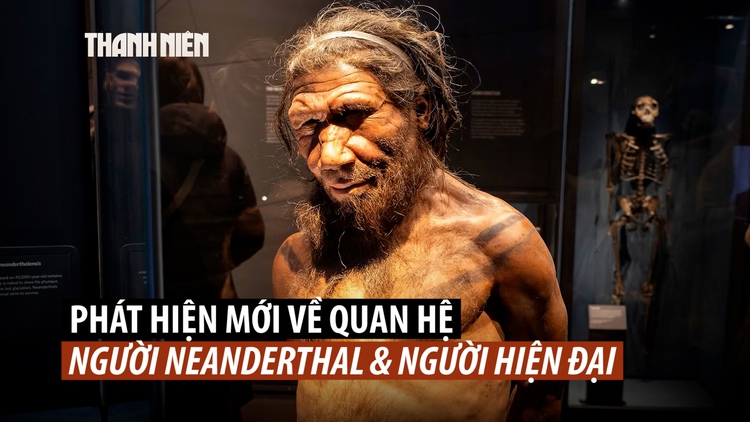 Người Neanderthal và người hiện đại có con chung từ khi nào?