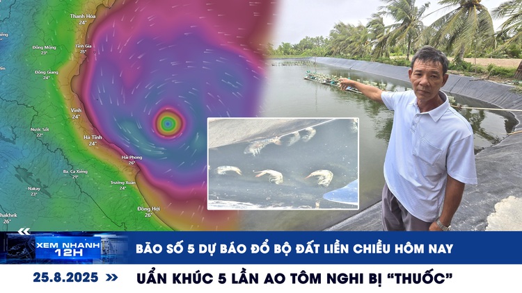 Xem nhanh 12h: Bão số 5 dự báo đổ bộ đất liền chiều hôm nay | Uẩn khúc 5 lần ao tôm nghi bị 'thuốc'