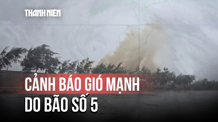 Bão số 5: Cảnh báo gió mạnh khi bão đổ bộ đất liền vào chiều 25.8