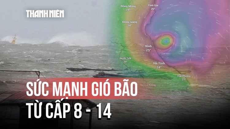 'Giải mã' sức mạnh gió bão từ cấp 8 đến cấp 14