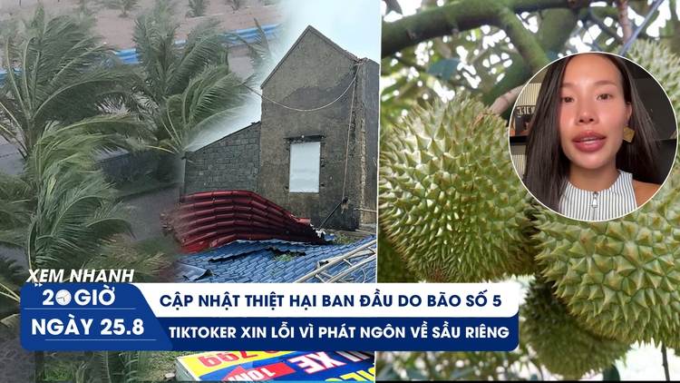 Xem nhanh 20h ngày 25.8: Thiệt hại ban đầu do bão số 5 | TikToker xin lỗi vì phát ngôn về sầu riêng