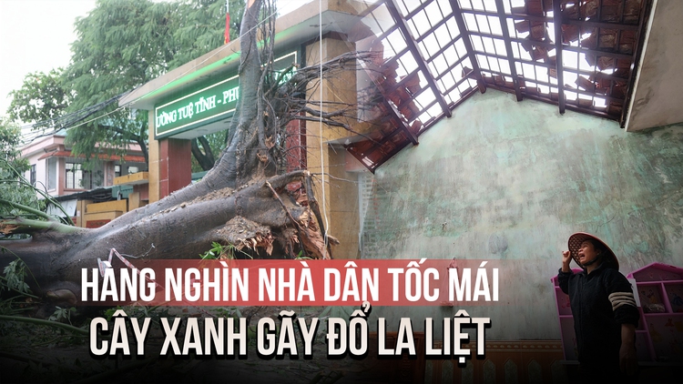 Bão số 5 tàn phá Nghệ An, Hà Tĩnh: Hàng nghìn căn nhà tốc mái, cây xanh gãy đổ la liệt