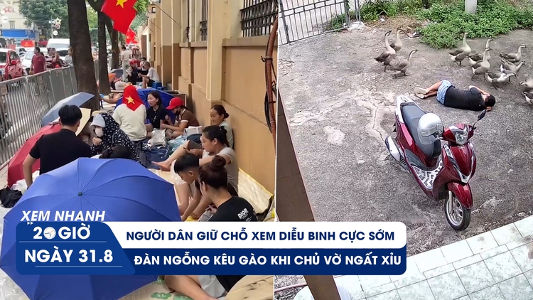 Xem nhanh 20h ngày 31.8: Người dân giữ chỗ xem diễu binh cực sớm | Ngộ nghĩnh đàn ngỗng kêu gào khi chủ vờ ngất xỉu