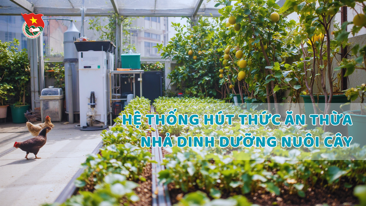 Cùng sống xanh số 119: Có một hệ thống hút thức ăn thừa, nhả dinh dưỡng nuôi cây trên sân thượng