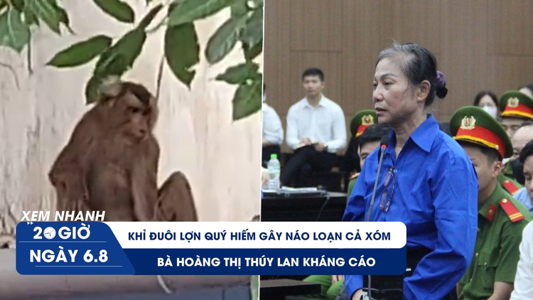 Xem nhanh 20h ngày 6.8: Bà Hoàng Thị Thúy Lan kháng cáo | Khỉ đuôi lợn quý hiếm gây náo loạn cả xóm 