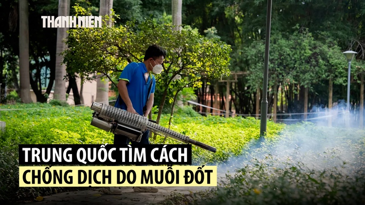 Trung Quốc chống dịch chikungunya bằng biện pháp thời Covid-19