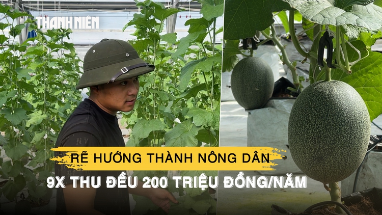 Rẽ hướng thành nông dân trồng dưa lưới, 9x thu đều 200 triệu đồng/năm