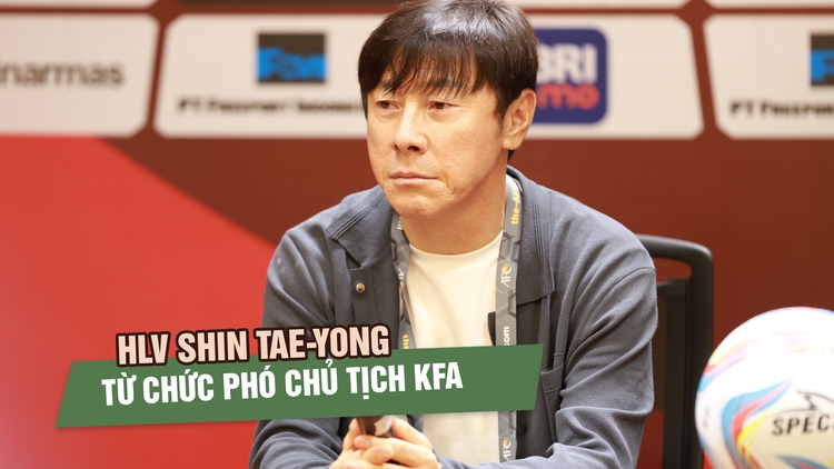 Khó cáng đáng cả 2 vai trò, ông Shin Tae-yong từ chức Phó chủ tịch LĐBĐ Hàn Quốc