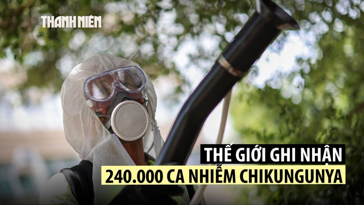WHO cảnh báo bệnh chikungunya có thể ảnh hưởng hàng tỉ người