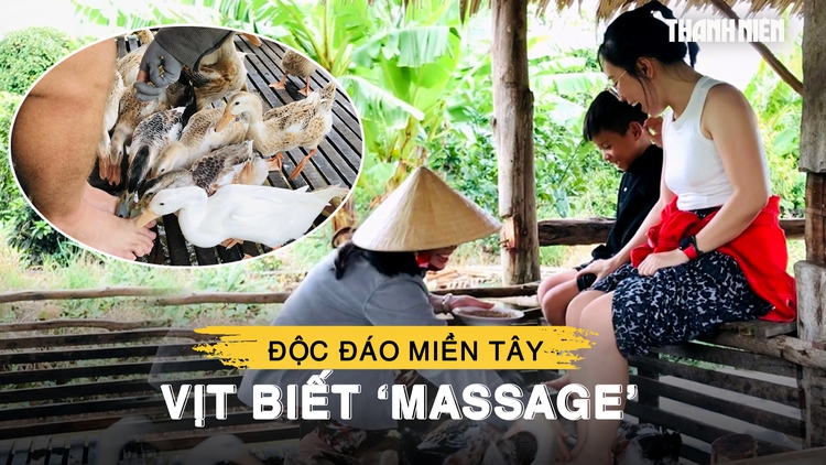 Độc đáo đàn vịt biết ‘massage’ ở miền Tây